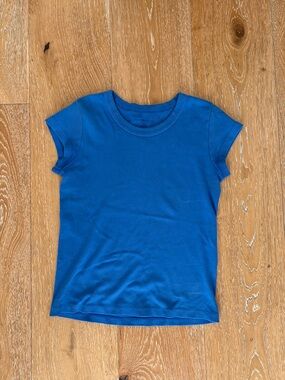 Brandy Melville Blue top